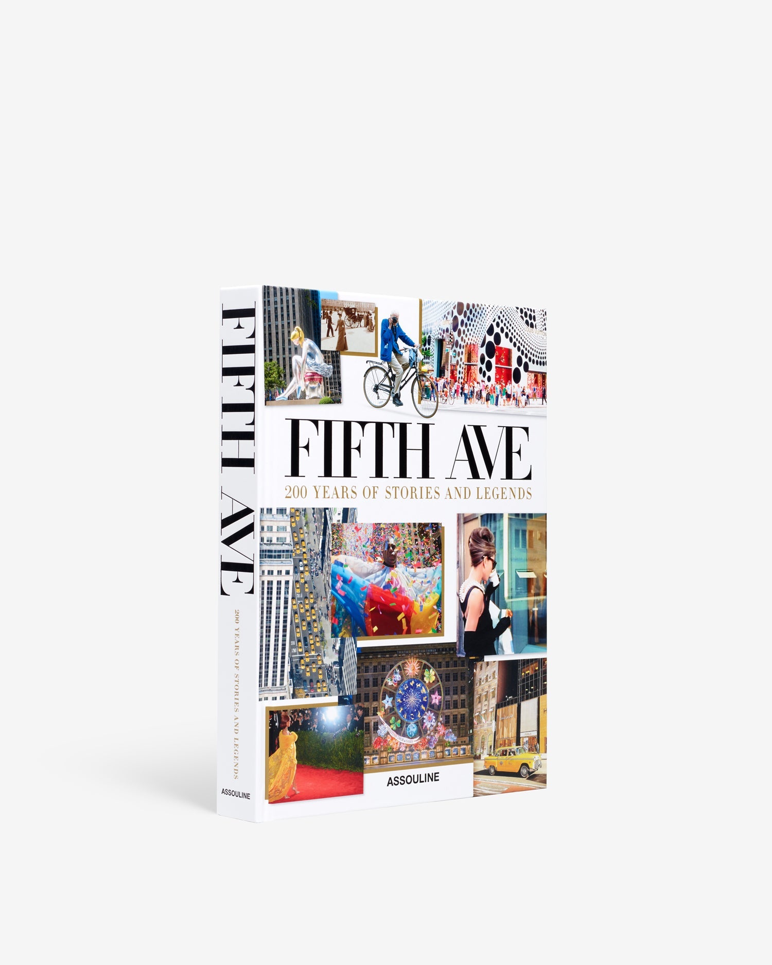 Fifth Avenue: 200 Years of Stories and Legends by Jay McInerney