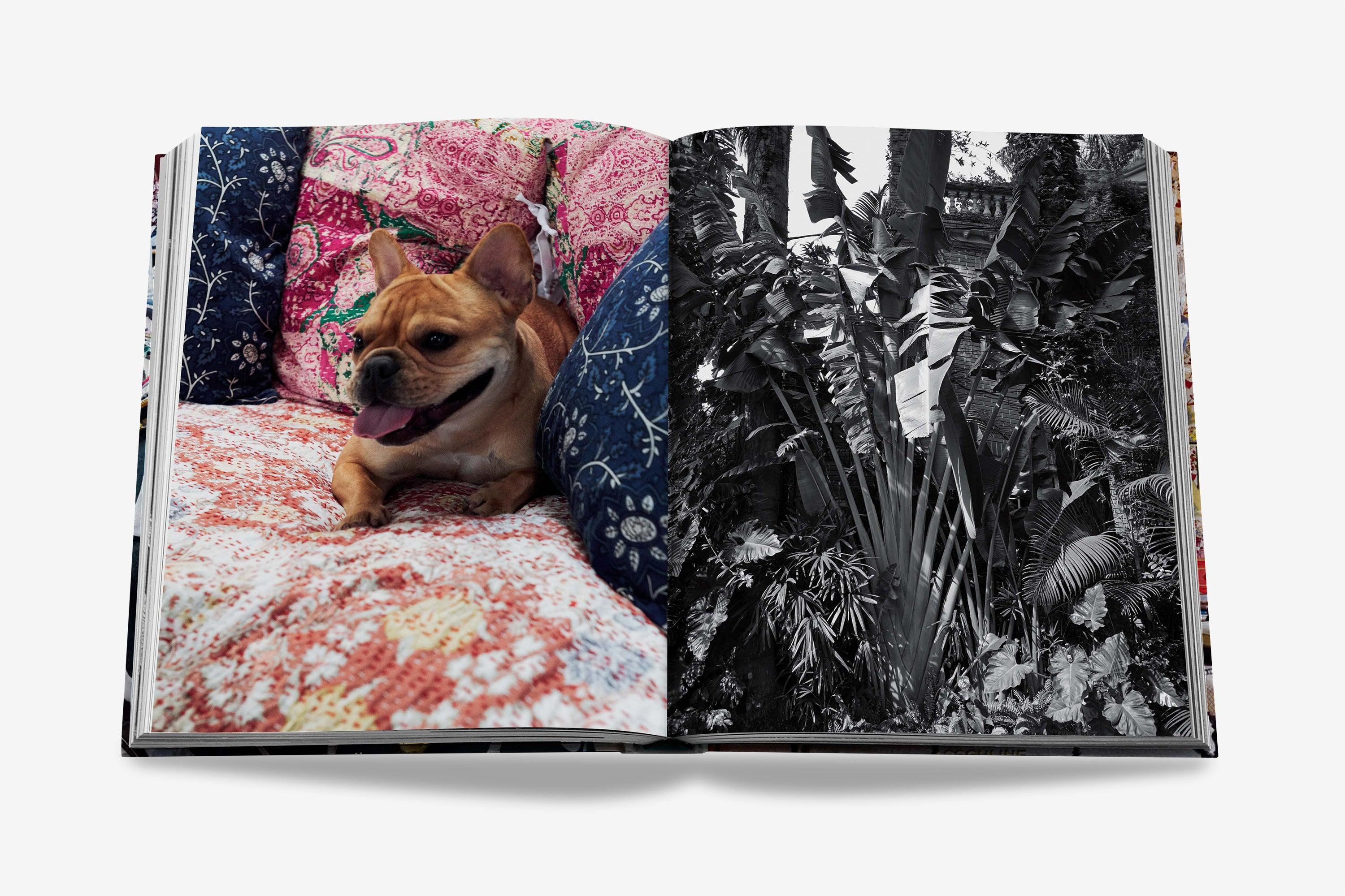 Maximalism by Sig Bergamin | ASSOULINE AU