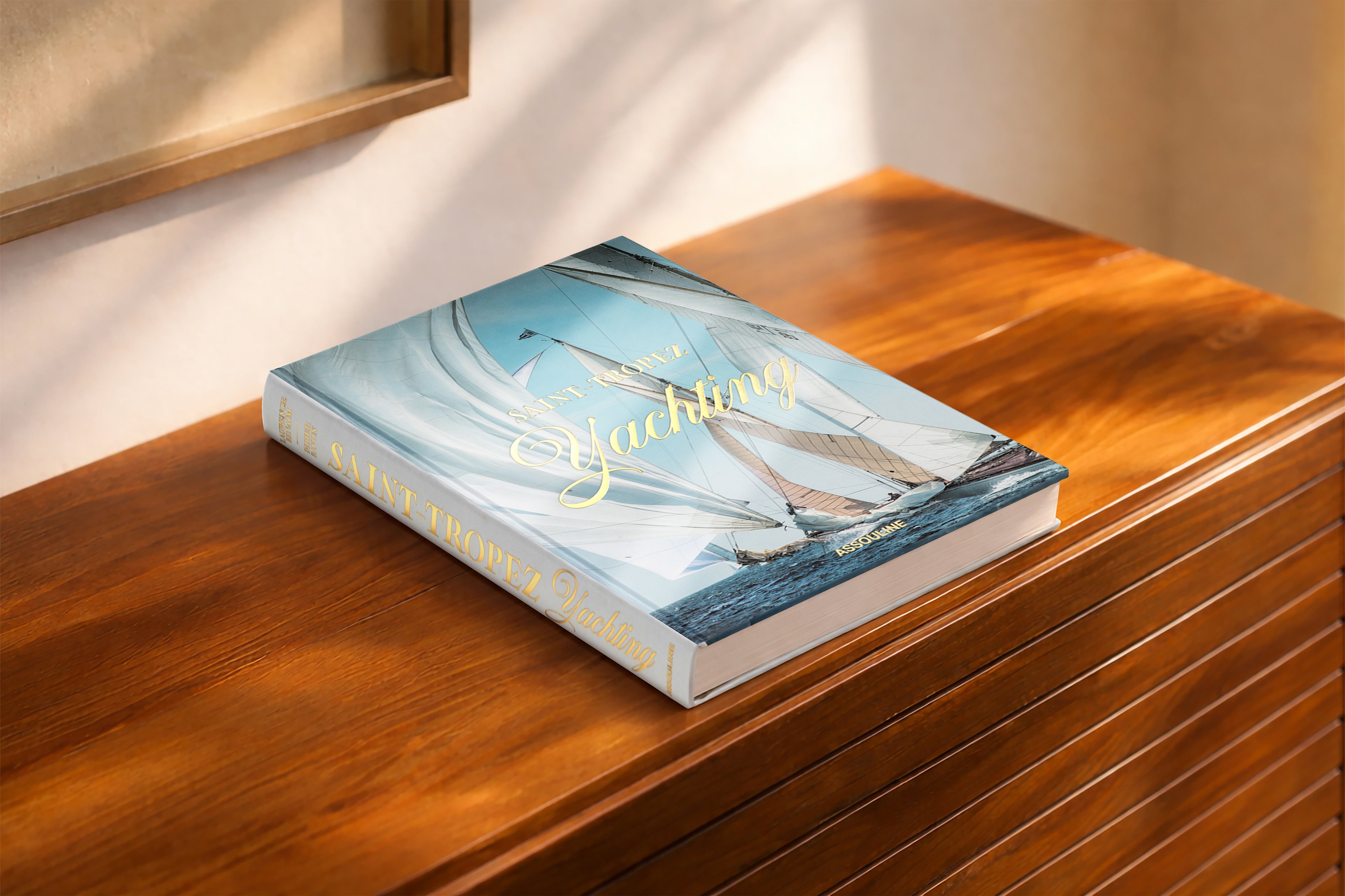 ヤン・アルテュス＝ベルトラン RHÔNE 空撮写真集 フランス洋書 Saint Tropez Yachting AU