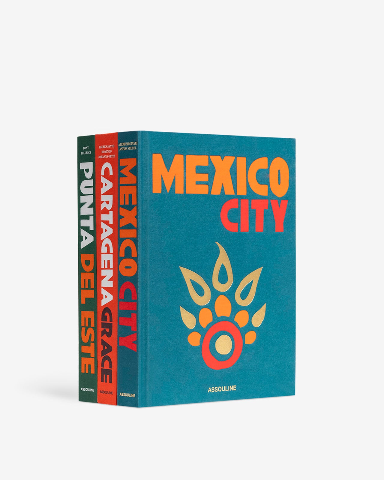 ASSOULINE社　25冊セット Mexico City by Aleph Molinari, Anfisa Vrubel | ASSOULINE AU