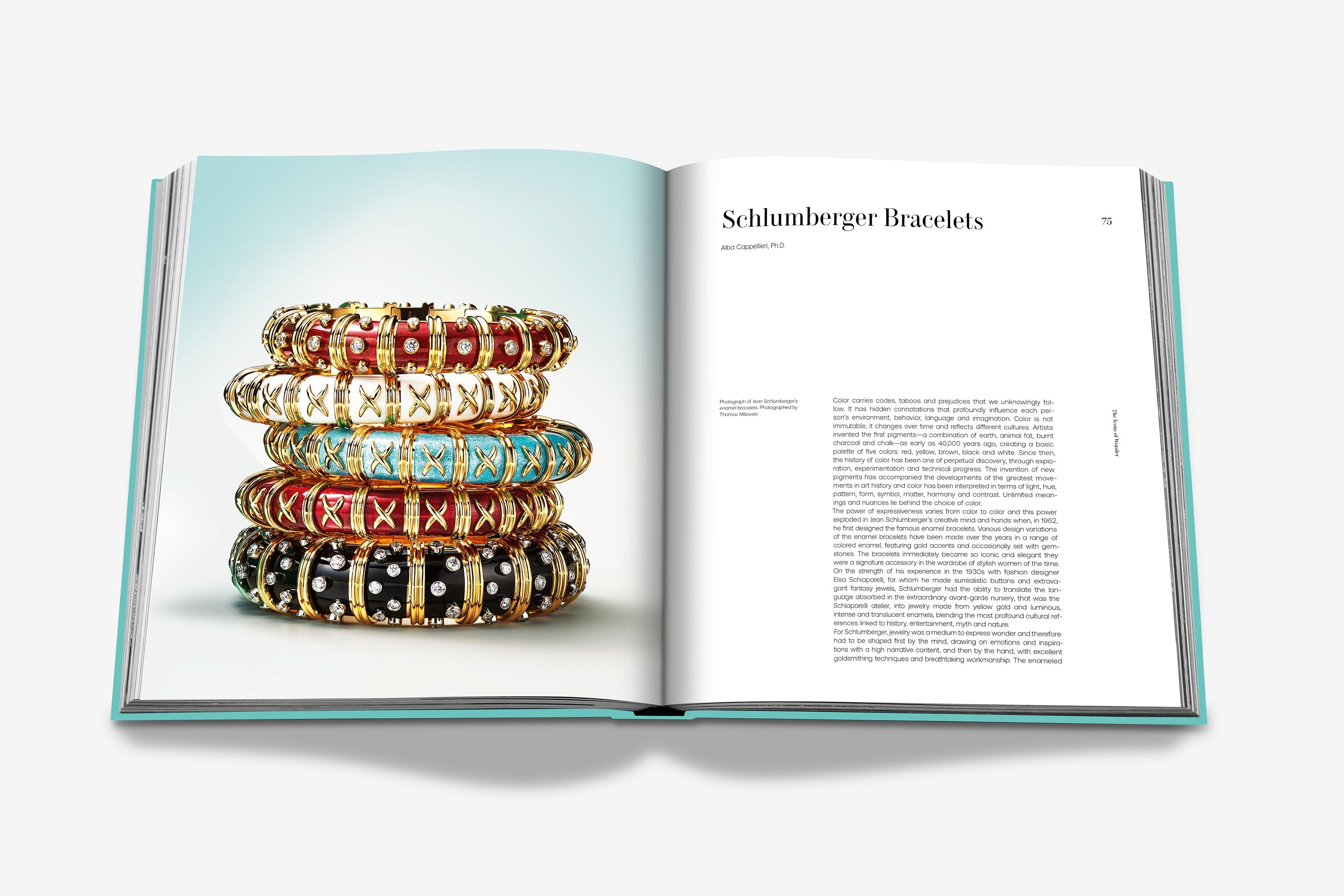 Tiffany & Co.: The Landmark by Alba Cappellieri, Christopher Young